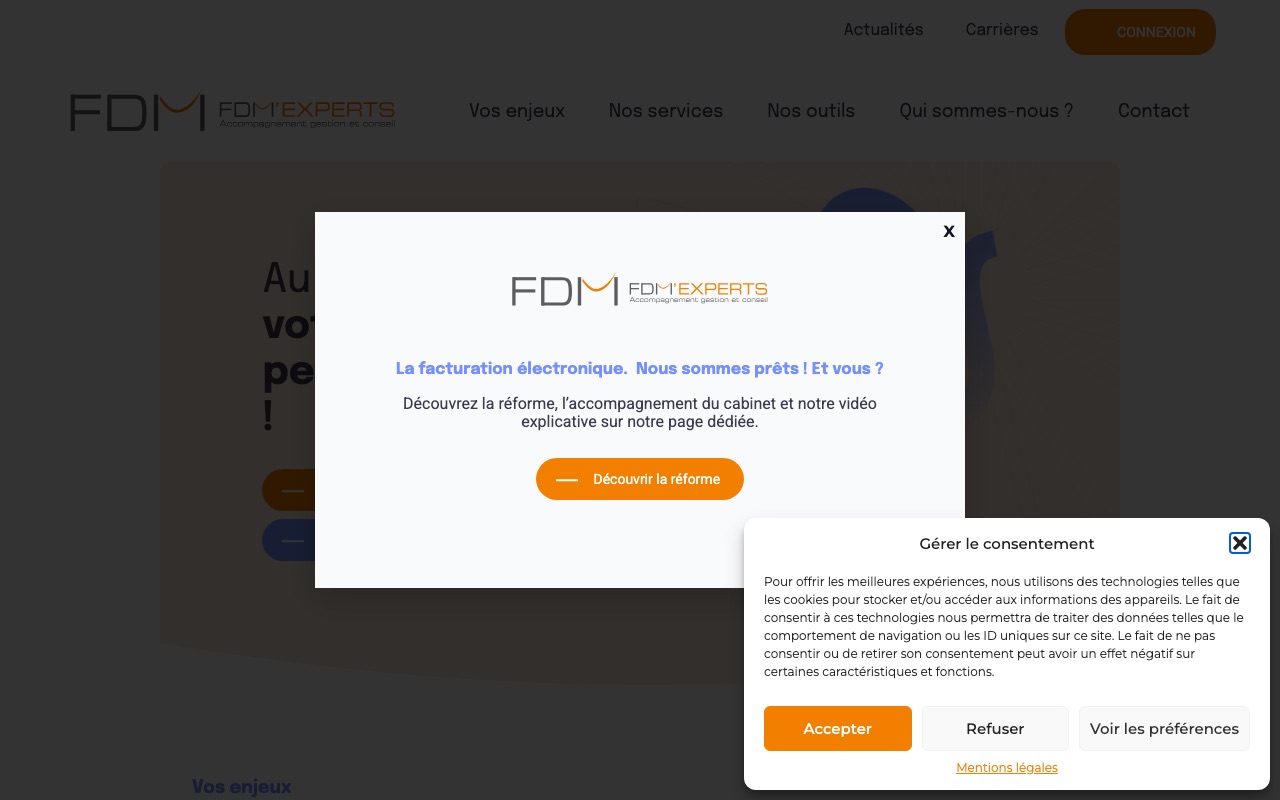 Aperçu du site de FDM'EXPERTS