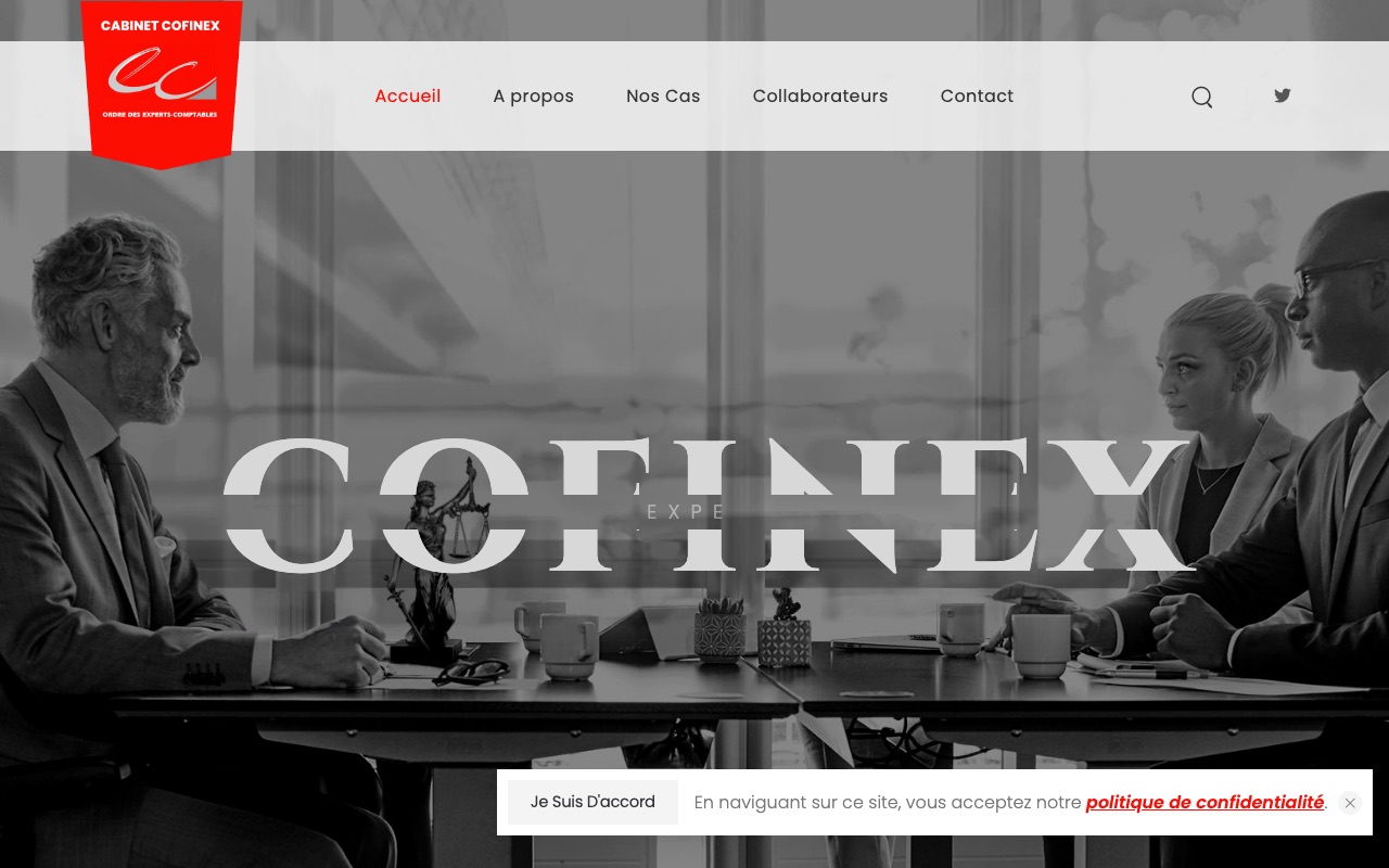 Capture de la source publique pour CONSEIL FINANCE EXPERTISE (COFINEX)