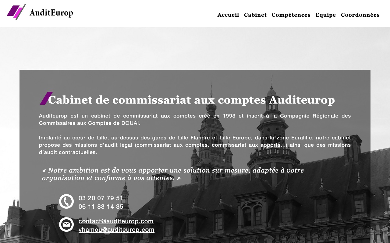 Aperçu du site de AUDITEUROP
