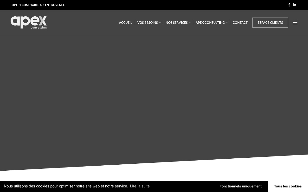 Aperçu du site de APEX CONSULTING (APEX CONSULTING)