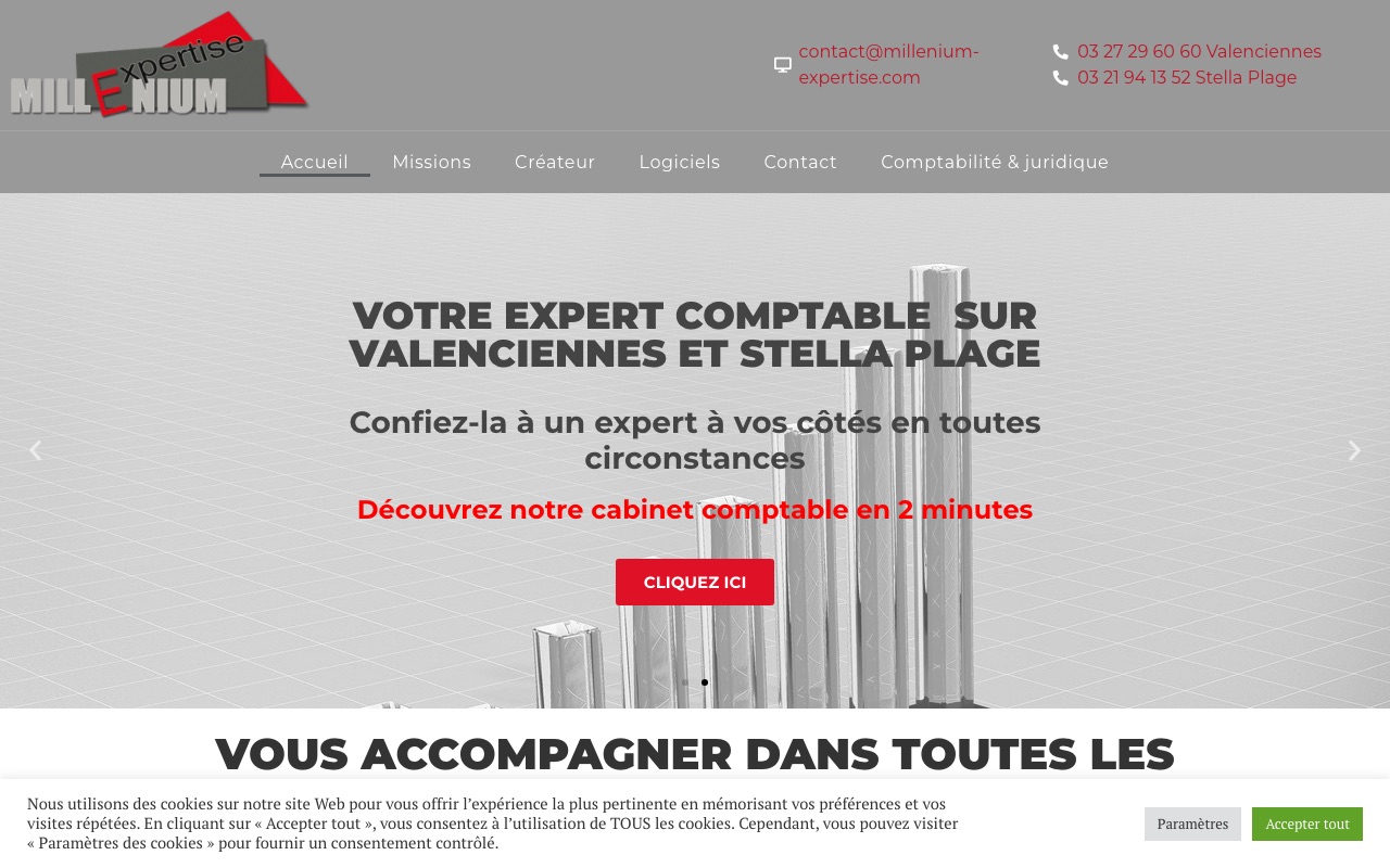 Aperçu du site de MILLENIUM-EXPERTISE