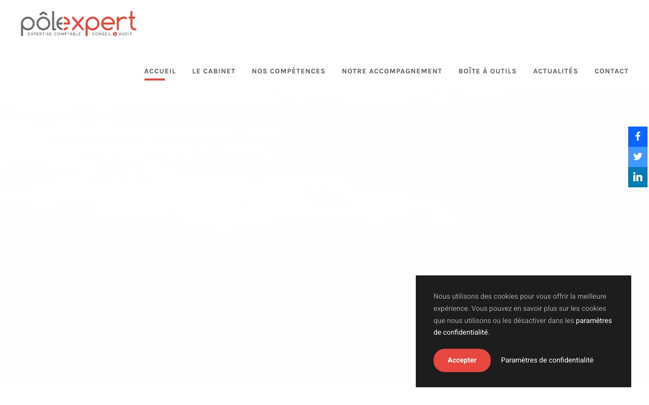 Aperçu du site de POLEXPERT