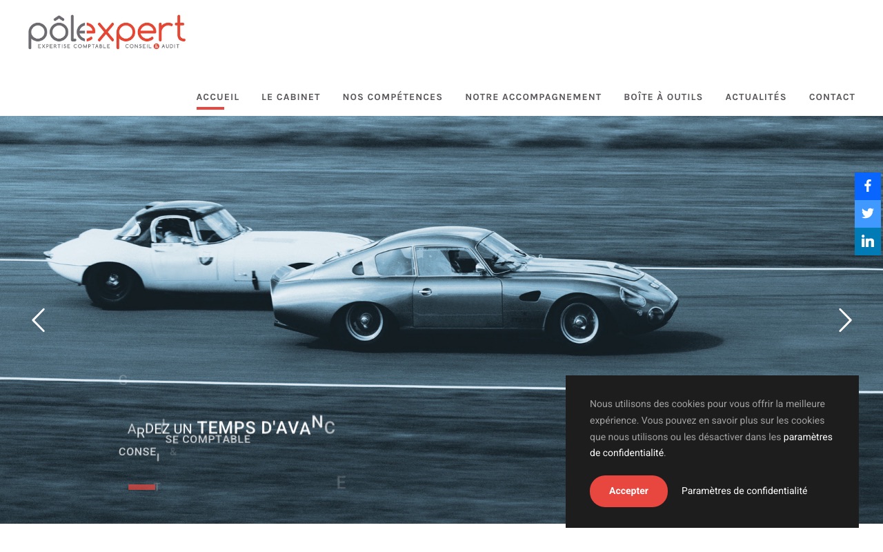 Aperçu du site de POLEXPERT