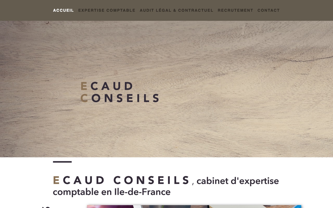 Aperçu du site de ECAUD CONSEILS