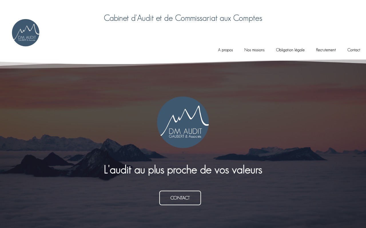 Capture de la source publique pour DM AUDIT (DM AUDIT)