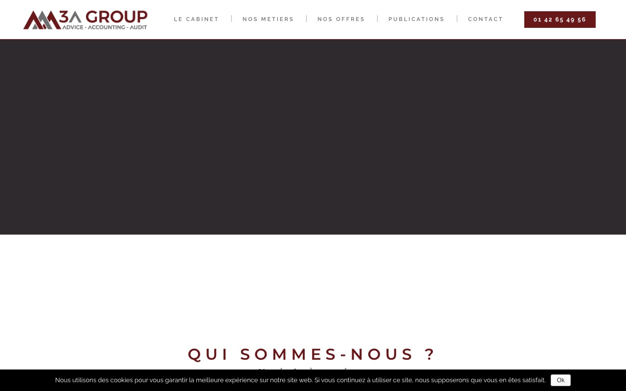 Aperçu du site de 3A GROUP