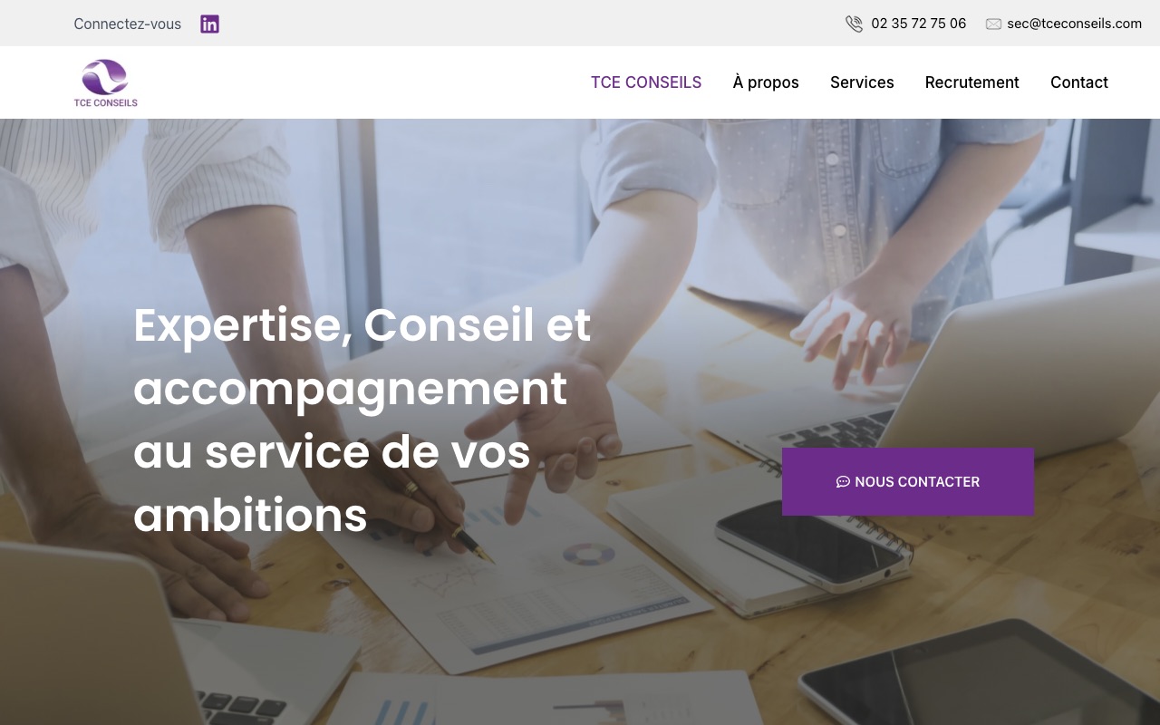 Aperçu du site de TCE CONSEILS