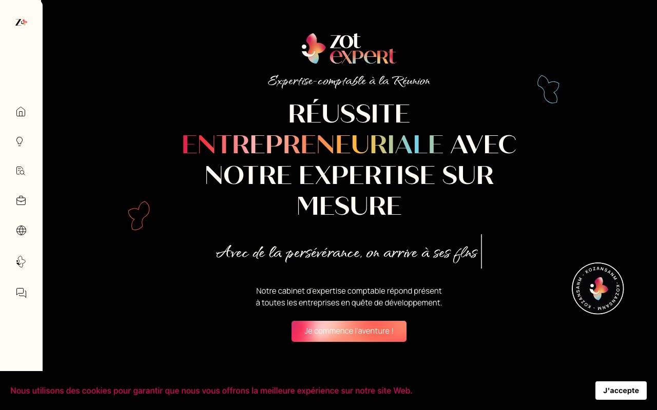 Aperçu du site de ZOT EXPERT