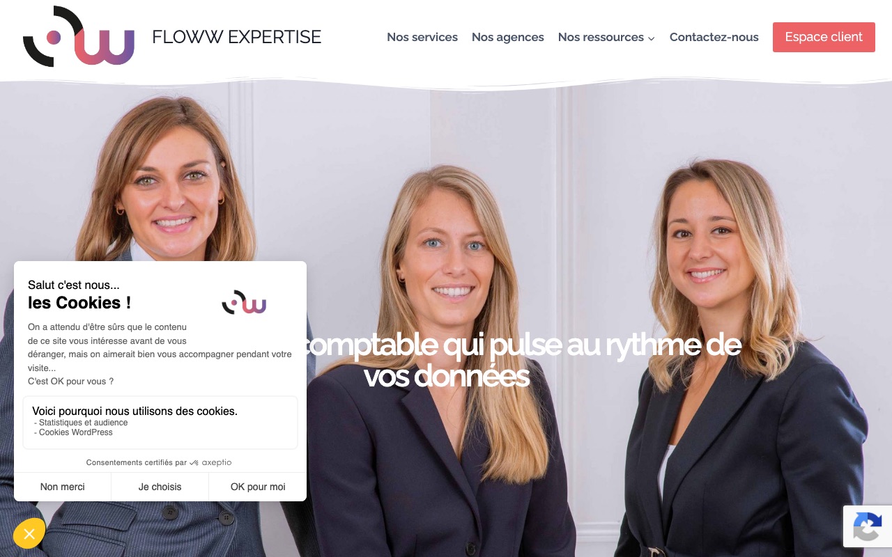 Capture de la source publique pour FLOWW EXPERTISE (FLOWW EXPERTISE)