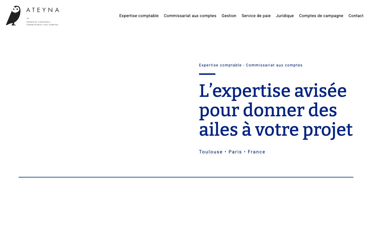 Aperçu du site de ATEYNA