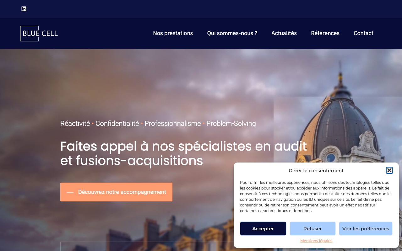 Aperçu du site de BLUECELL AUDIT