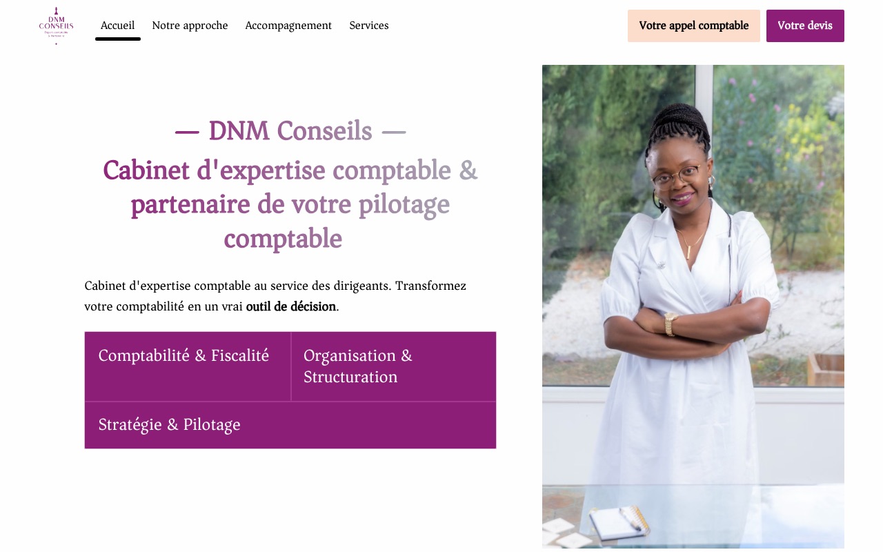 Aperçu du site de DNM CONSEILS