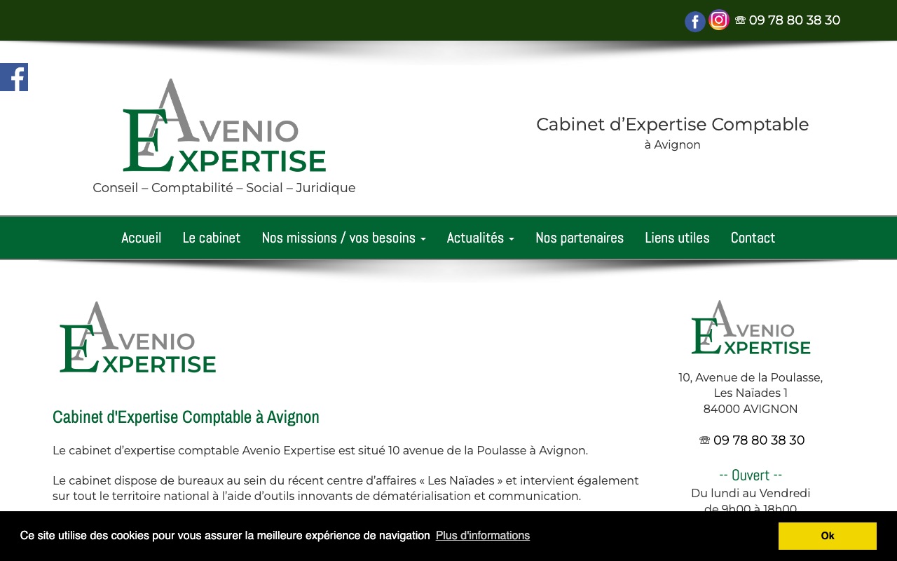 Aperçu du site de AVENIO EXPERTISE