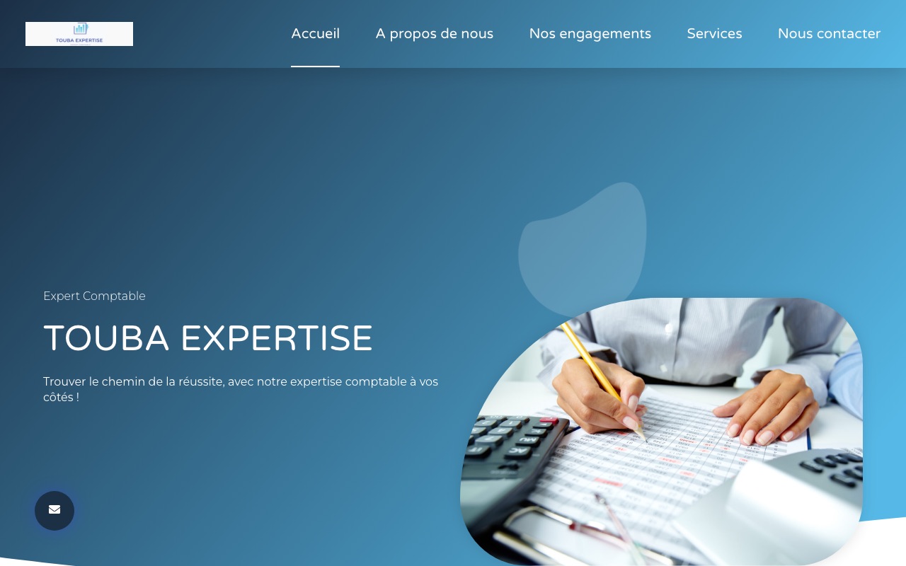 Aperçu du site de TOUBA EXPERTISE