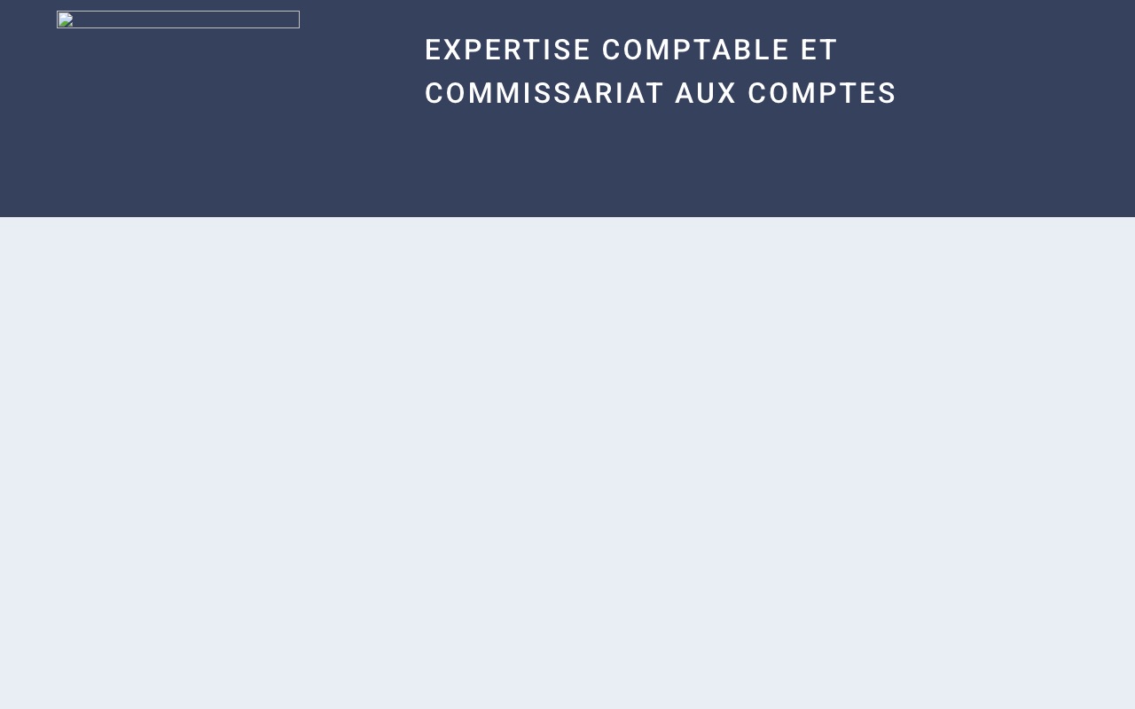 Aperçu du site de EL'EXPERT