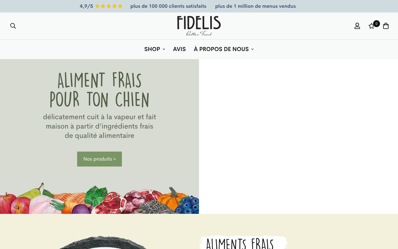 Aperçu du site de FIDELIS - AUDIT CONSEIL EXPERTISE