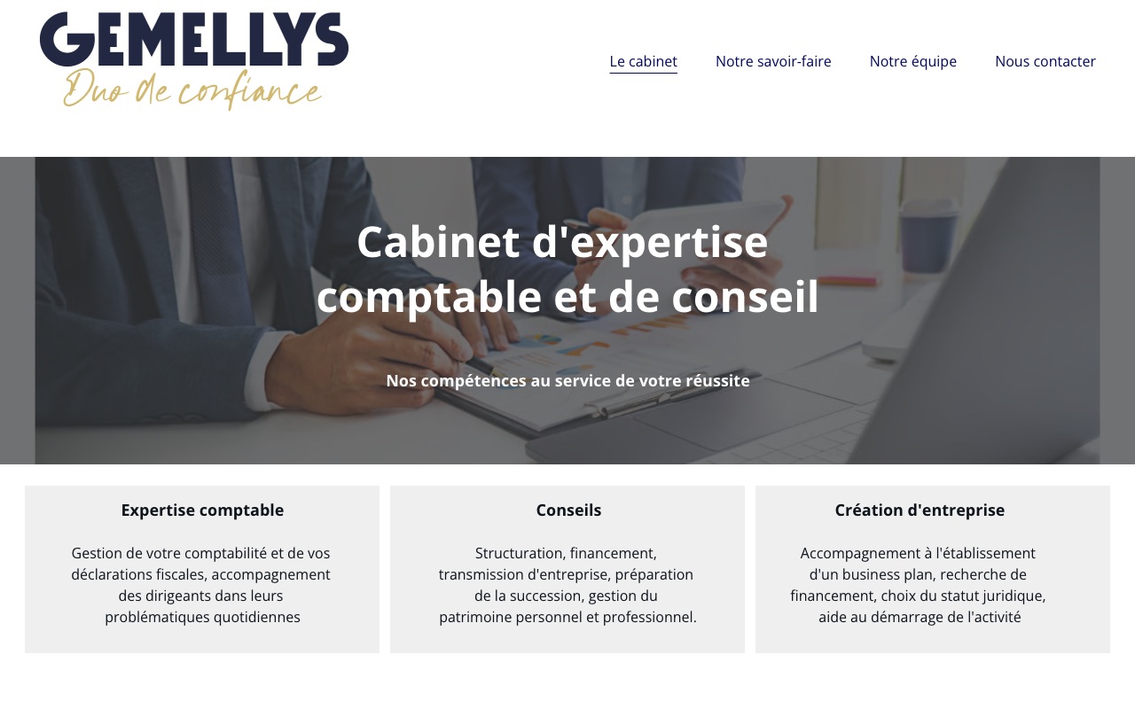 Capture de la source publique pour GEMELLYS AUDIT