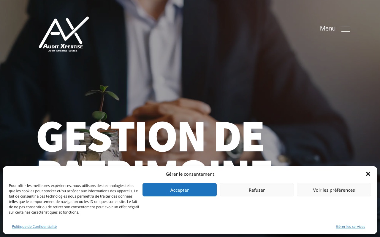 Capture de la source publique pour AUDIT XPERTISE