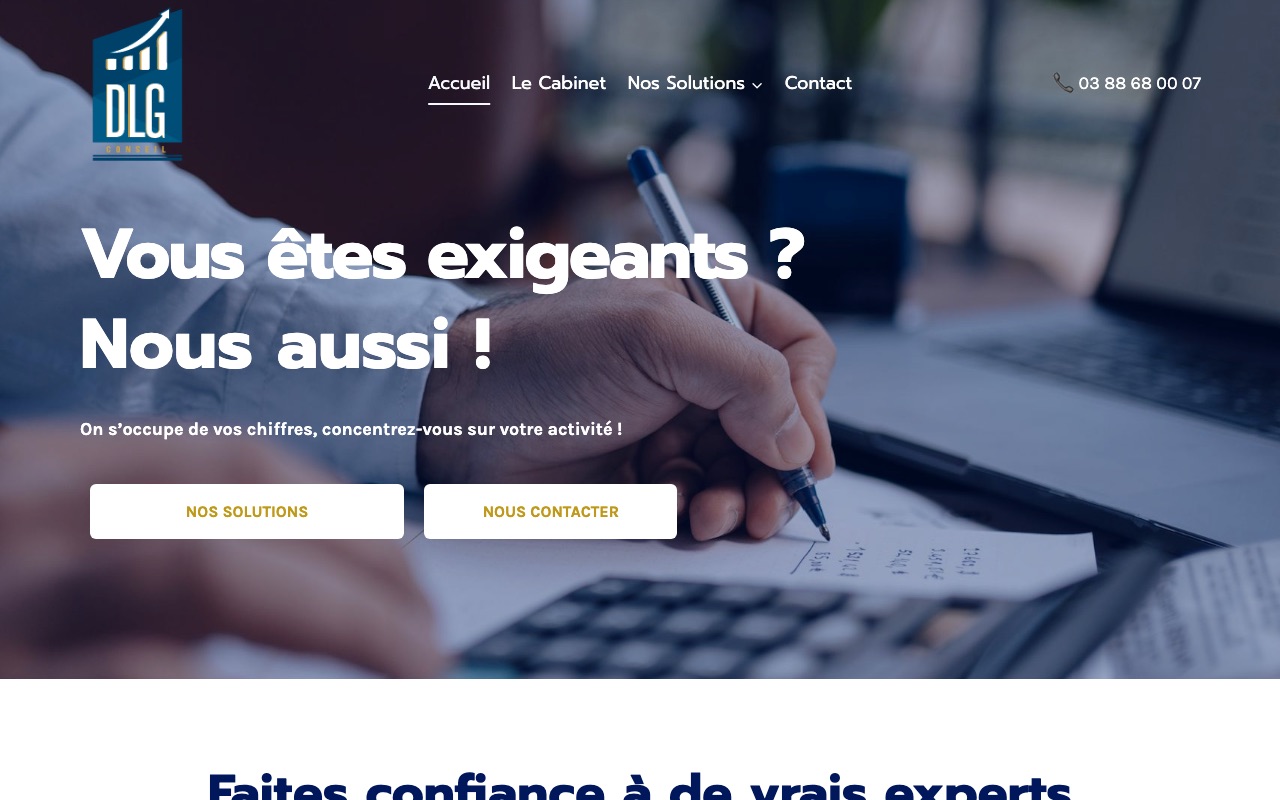 Aperçu du site de DLG CONSEIL