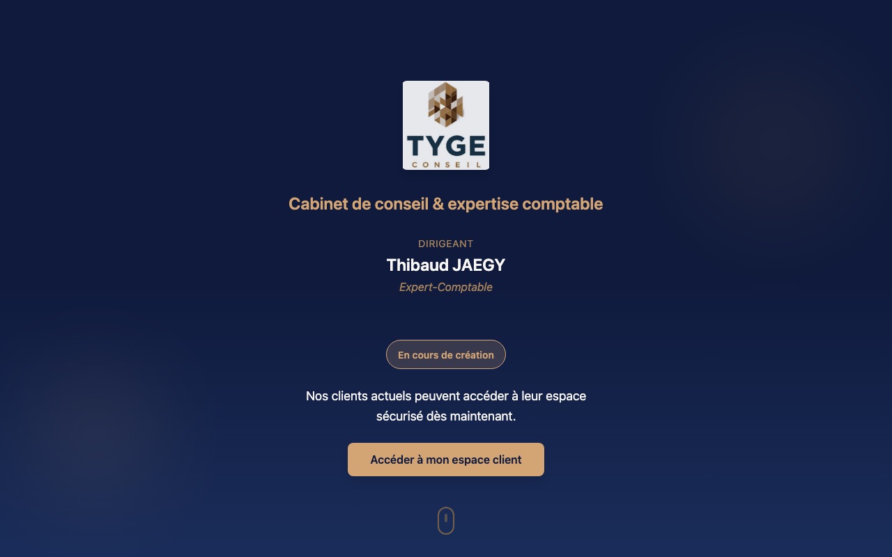 Aperçu du site de TYGE CONSEIL